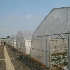 Nông nghiệp nhựa trong suốt CuộN <span class=keywords><strong>PE</strong></span> nhựa bảo vệ <span class=keywords><strong>UV</strong></span> kháng nhà kính phim - Product Image 1