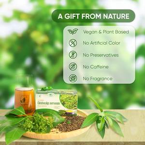 Tisane de Cleistocalyx Nervosum Séchée Premium, Boisson Santé, 30 Sachets de 2g, Qualité Supérieure du Vietnam, Service OEM/ODM, Durée de Conservation 2 Ans - Product Image 4