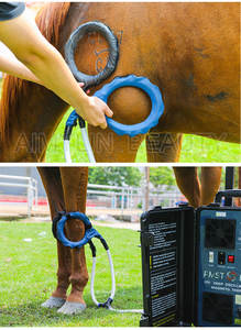 Cavallo cura della salute del dolore Pemf sollievo terapia magnetica riabilitazione fisica animale Magnetoterapia macchina - Product Image 5