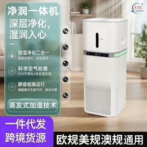 All In One <b>Humidifier</b> And Purifier Gray 21-30 Sqm Home Use Negative Ion HePa Filter - Product Image 4