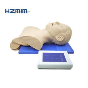 แบบจำลองการใส่ท่อช่วยหายใจผู้ใหญ่, หุ่นจำลองการใส่ท่อช่วยหายใจผู้ใหญ่ - Product Image 2