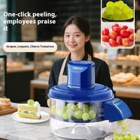 Bestverkopende Nieuw Ontworpen Automatische Roestvrijstalen Elektrische Fruitschiller Thuis Commercieel Keukenapparaat Voor Fruitgereedschap