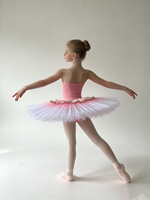 Robe de tutu de ballet rose à bretelles spaghetti pour filles, broderie dorée, jupe en tulle dégradé, costume de performance de ballet professionnel