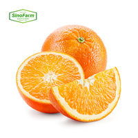 Buah Jeruk Segar Panen Baru: Jeruk Navel dan Jeruk Mandarin untuk Grosir
