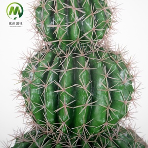 Top Vente <span class=keywords><strong>Cactus</strong></span> Artificiel Balled En Pot Haute Simulation Succulentes Bonsaï <span class=keywords><strong>Prix</strong></span> Usine Faux <span class=keywords><strong>Cactus</strong></span> Plante pour La Décoration - Product Image 4