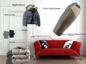 <span class=keywords><strong>Duvet</strong></span> <span class=keywords><strong>d</strong></span>'<span class=keywords><strong>oie</strong></span> blanc lavé 90, nouvelle norme nationale de vêtements, <span class=keywords><strong>duvet</strong></span> standard, matière première, <span class=keywords><strong>plume</strong></span> de remplissage <span class=keywords><strong>d</strong></span>'édredon - Product Image 6