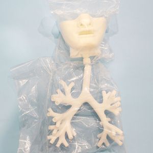 Modèle oral bronchique, atlas de bronchoscopie électronique, modèle d'enseignement et de formation médicale - Product Image 4