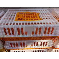 Nouvelle caisse de transport en plastique pour poulets, canards et pigeons, boîte de transport pour volailles
