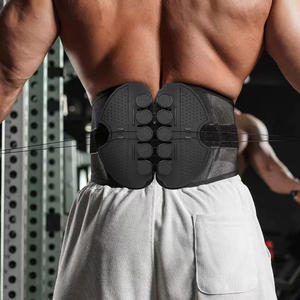 Wholesale Disc Support Design Breathable Mesh Material to Protect Daily Waist <b>Protector</b> Adult New Double Pull Brace <b>Back</b> Lumbar - Product Image 1