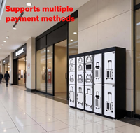 Système de gestion cloud IoT intelligent multilingue pour casiers à bagages assemblés, boîte de rangement sécurisée pour colis et valises, pour parcs d'attractions