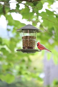 Mangeoire pour oiseaux sauvages suspendue automatique écologique Mangeoire à oiseaux pliante rétractable en forme de gazebo pour la décoration de jardin - Product Image 6