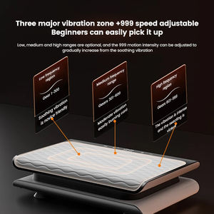 Vibrateur de plaque de zone de <span class=keywords><strong>vibration</strong></span> majeur 999 vitesse réglable débutants Machine de <span class=keywords><strong>vibration</strong></span> de plaque de puissance - Product Image 3