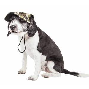 DB Pet Life 'Torrential Downfour' XS Sombrero para perros Gorra Ajustable Camuflaje Protector UV Accesorio Transpirable sostenible - Product Image 3