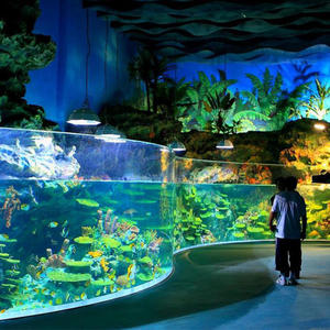 Aquarium d'<span class=keywords><strong>eau</strong></span> salée Reef Led 200-500 gallons, bulles, accessoires pour aquariums <span class=keywords><strong>de</strong></span> poissons d'<span class=keywords><strong>eau</strong></span> salée - Product Image 4