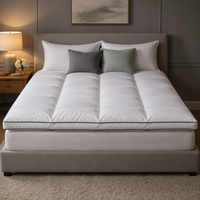 Surmatelas en coton de style hôtel 5 étoiles, épaissi, chaud, respirant, lavable, anti-acariens, antibactérien, usage hospitalier