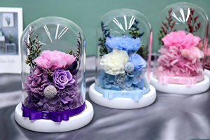 Vente en gros de fleurs éternelles en dôme de verre : œillets, roses, hortensias – Cadeau romantique pour la Fête des Mères, la Fête des Enseignants, les anniversaires - Product Image 5
