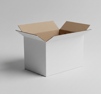 Boîtes rigides en carton ondulé blanc 3 plis, recyclables, 11 x 9 x 2 pouces, légères, pour l'expédition, l'emballage, les cadeaux, matériaux recyclés