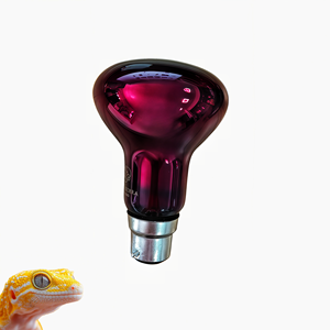 Низкое энергопотребление 60 Вт 100 Вт 150 Вт B22 220-240 Вт инфракрасная лампа для рептилий тепловая лампа для ящерицы - Product Image 1
