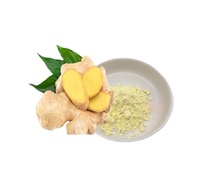 Poudre de jus de gingembre en matière première pour exportateurs – Extrait de gingembre frais et séché personnalisé, qualité alimentaire et boisson