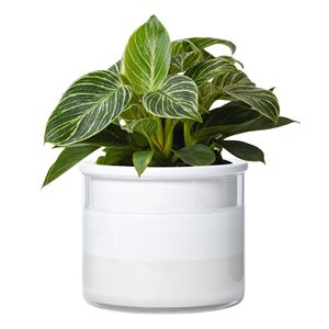 Maceta de <span class=keywords><strong>autorriego</strong></span> de cerámica grande Premium moderna para el hogar, jardín, vivero al aire libre, bonsái, maceta decorativa para plantar flores - Product Image 2