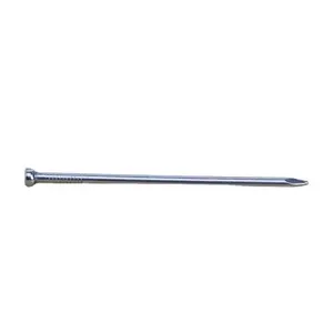 Best sell electro galvanised metal Q195 lost head nails