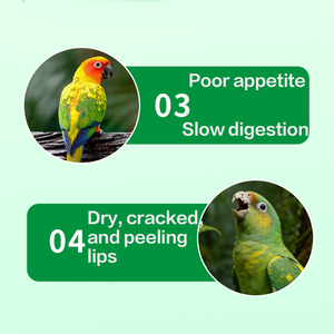 Papağan Karaciğer Özü Besin Takviyeleri Besin Çözümü <span class=keywords><strong>Vitamin</strong></span> Takviyesi - Product Image 4