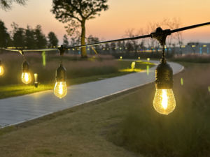 Luci a Corda Impermeabili IP65 per Esterni, Ghirlanda di Luci LED S14 da 1W, Illuminazione Bianca Calda con Spina - Product Image 2