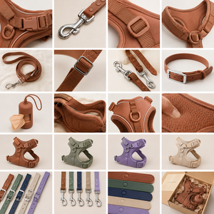 Manufacturers Custom Logo Luxury No Pull Waterproof <b>Training</b> <b>Lead</b> Pet Cat Dog Poop Bag Holder PVC Harness Leash Collar Set - Product Image 6