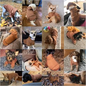 Moletom Clássico de Inverno para Cães com Bolsos, Roupa Quente de Lã para Animais de Estimação Pequenos, Chihuahua e Filhotes (Café XX-Pequeno) OEM/ODM - Product Image 4
