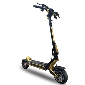 Mukuta 9 Plus Eu Warehouse 1600W 15.6Ah Battery 48V Folding Mobility 350W Golf Electric Scooters Dual Motor