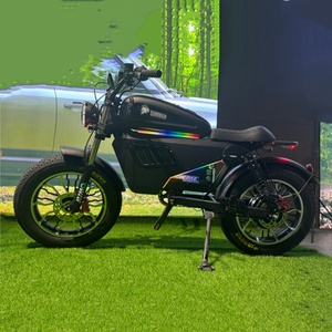 Bicicleta de Carreras de 60V y 3000W con Suspensión Completa, 3 Velocidades, Buje Trasero de Alto Rendimiento, Aluminio, Alcance de 120 km - Product Image 3
