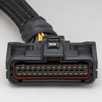 Professional Solvet Customizable Marine Boat Wiring Harness JST PH 20Pin AWG24 UL1015 Copper Conductor IP68 Center Console