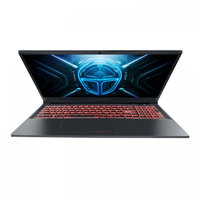 Nouvel ordinateur portable de jeu haut de gamme Intel RTX 4060 ThundeRobot Blade R15 I7-14650HX 165Hz 16GB/24GB/32GB RAM Clavier anglais 512GB/1TB