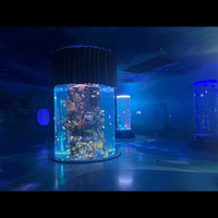 Vente chaude, aquarium cylindrique en acrylique sur mesure pour plafond d'escalier circulaire