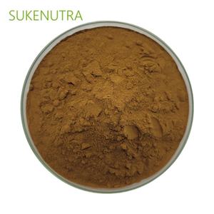 차가버섯 추출물 분말 다당류 30% 항산화 면역 및 소화 지원-초점 에너지 선명도 웰빙 - Product Image 5