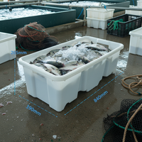 Bacs de Rangement Robustes et Légers, Recyclables, Empilables et Emboîtables, en Plastique Écologique, Vente Directe Fabricant, Idéaux pour Produits Frais