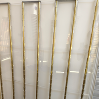 Porte accordéon commerciale de luxe en cristal PC, directement de l'usine, pour centre commercial, magasin, intérieur, coulissante, pliable, cloison, garage