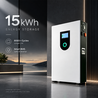 Batterie solaire verticale 15 kWh 51,2 V 300 Ah, système de stockage d'énergie (ESS), pack LiFePO4 à décharge profonde pour la sauvegarde à domicile