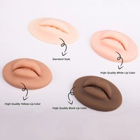 Peau d'entraînement 3D en silicone pour microblading, accessoires de maquillage permanent pour lèvres et dents, lèvres artificielles faciles à utiliser – Vente en gros