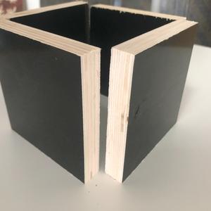 الأكثر مبيعًا خشب رقائقي أسود فينولي 4fx8ft E1 من poar لمباني الفنادق بأغشية 12: 18 من الأغشية التي تواجه إغلاق الإنشاءات - Product Image 4