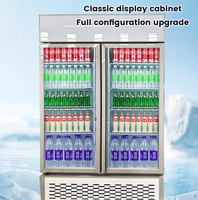 Réfrigérateur commercial vertical à porte vitrée trempée, température unique, pour boissons, sans givre, avec vitrine congélateur