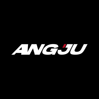 Angju (suzhou)clothing Co., Ltd. logo