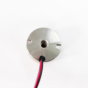 אלקטרומגנט עגול קטן Dc 12v 24v 10kgs אלקטרומגנט קבוע - Product Image 5