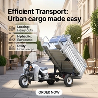 Tricycle de fret personnalisable de 200 cm³ refroidi par air avec freins à tambour avant et arrière pour les marchés d'Afrique et d'Asie du Sud-Est