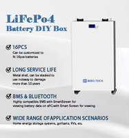 Boîtier OEM 15kwh personnalisé 48V 51.2V 230AH 280AH 300AH 16s Boîtier de batterie vide pour bricolage 200A BMS Lifepo4