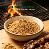 Poudre de cumin moulu pur, arôme intense, pour cuisine, barbecue, curry, assaisonnement en vrac, fourni par l'usine