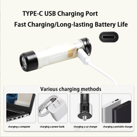 3 Modes Type C Lampe de poche magnétique Mini porte-clés Lampe de poche USB rechargeable Torche LED pour camping en plein air Urgence
