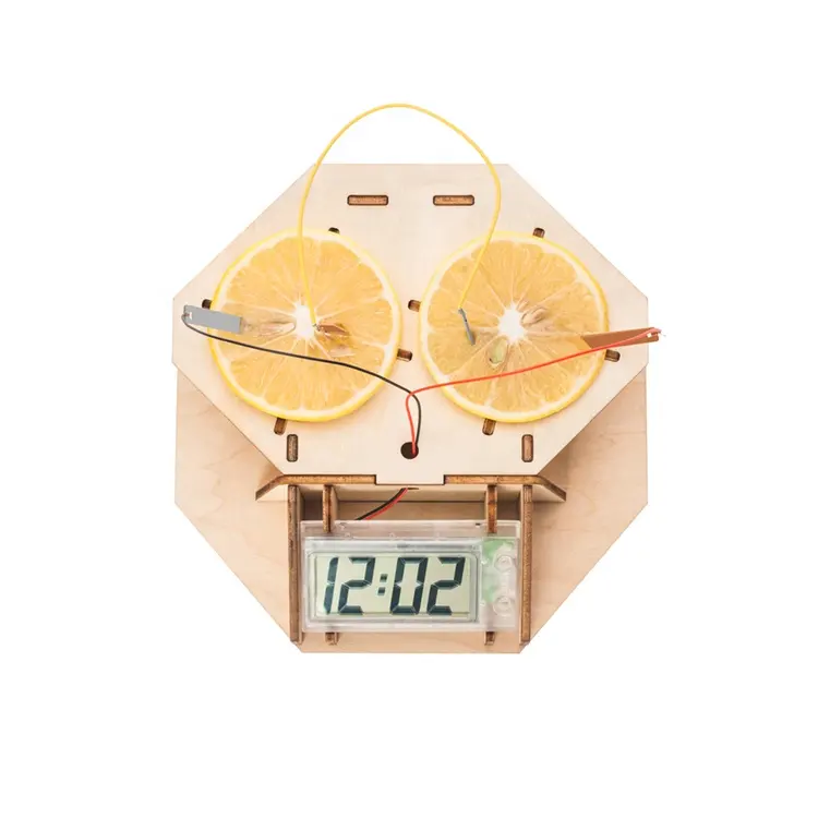 DIY Lemon Powered Clock School Teaching Experiment Science Kits for Kids