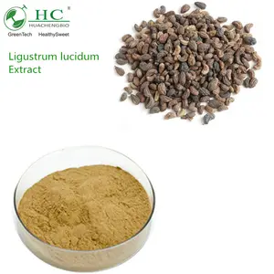 مستخلص ليجوستروم لوسيدوم عالي الجودة, مستخلص فاكهة ليجوستروم لوسيدوم