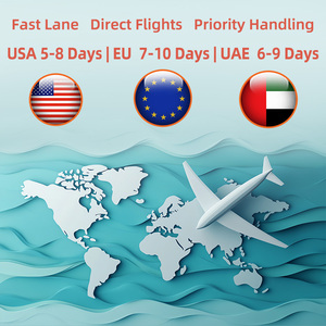 Agente de carga aérea de <span class=keywords><strong>China</strong></span> a EE. UU. Canadá <span class=keywords><strong>Arabia</strong></span> Saudita Dubai Qatar Agente de envío aéreo Entrega a puerta con servicio DDP - Product Image 4